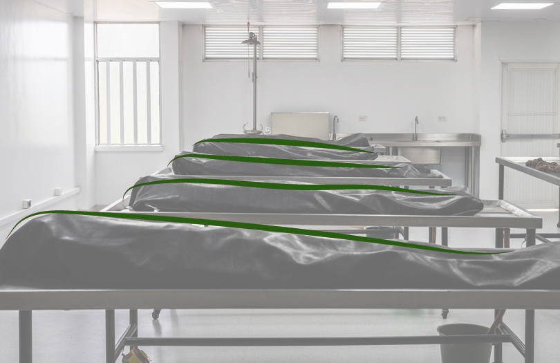 Бесплатные услуги морга