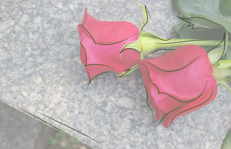 Цветы для возложения на могилу