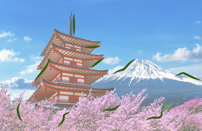 Ритуальные услуги в Стране восходящего солнца