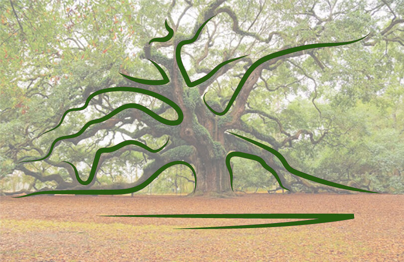 Стать деревом после смерти