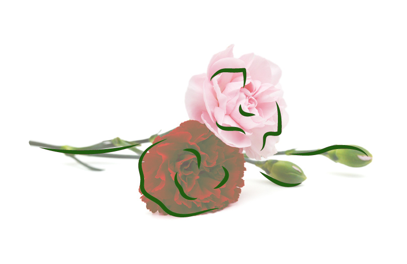 26 января состоялось торжественное открытие мемориальной доски в честь журналиста, профессора БГУ Булацкого Г. В.