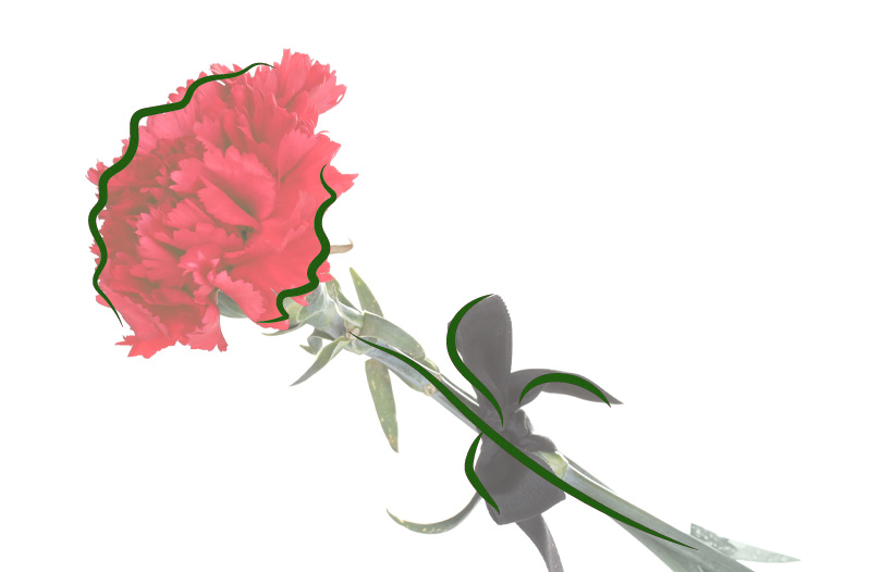 Президент Республики Беларусь искренне соболезнует родным государственного деятеля Николая Слюнькова