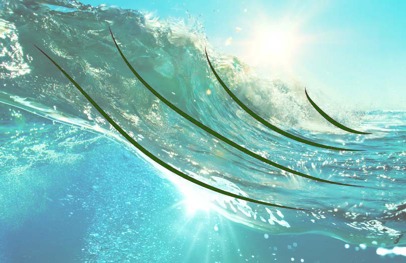 Подводное кладбище в океане