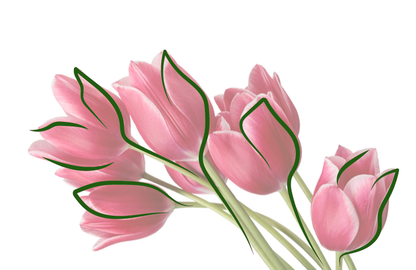 Мемориальная доска Герою Советского Союза И. Т. Журбе торжественно открыта в Минске