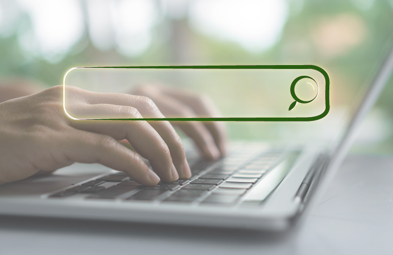 Как в Беларуси ведутся поиски пропавших без вести