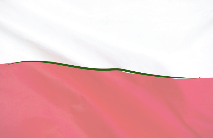 Получить визу в Польшу на похороны или посещение могилы родственника 