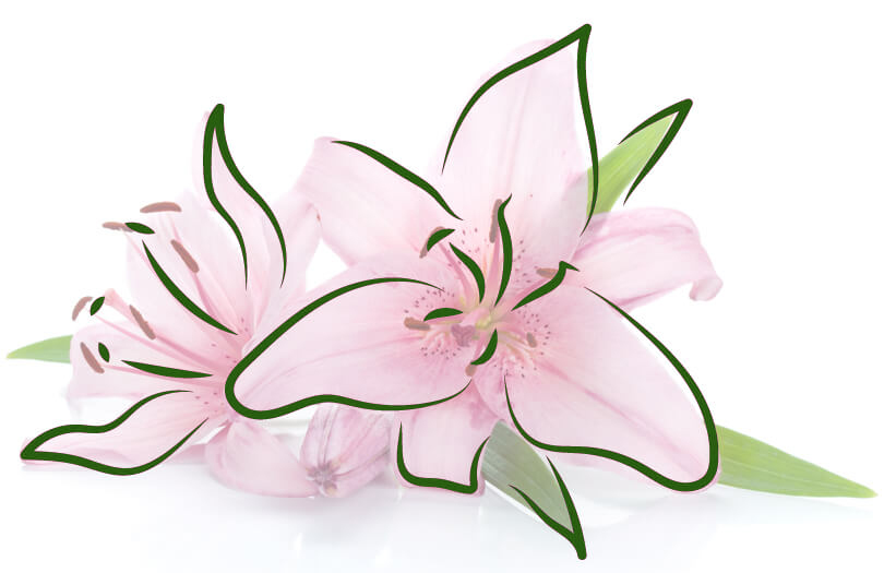 Траурная флористика