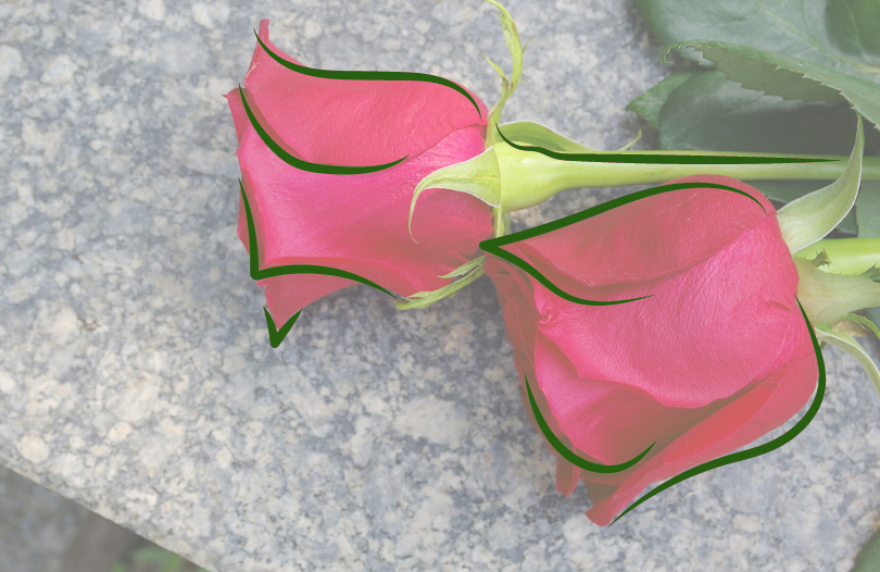 Цветы для кремации