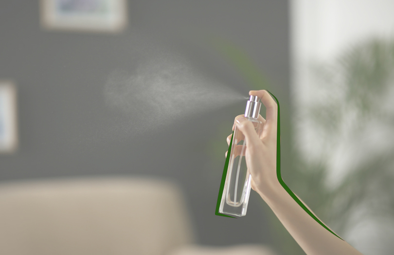 Способы и методы устранения трупного запаха