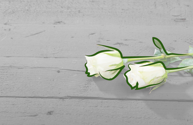 Книга соболезнований