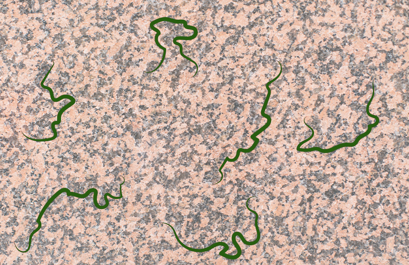 Как выбрать гранит для надгробного памятника