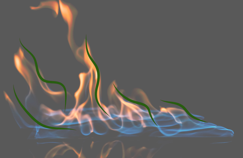 Самосожжение вдов в Индии