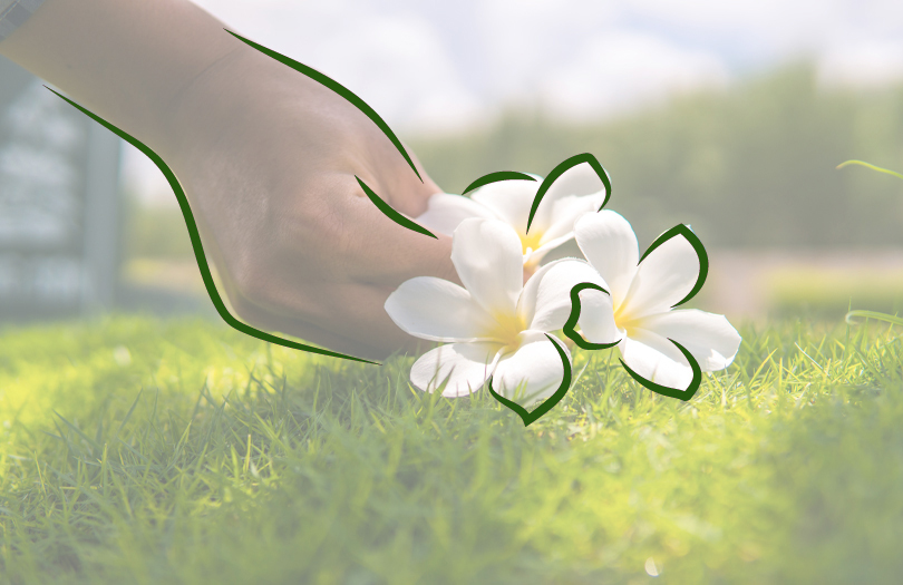 Цинмин: Китайский день мёртвых