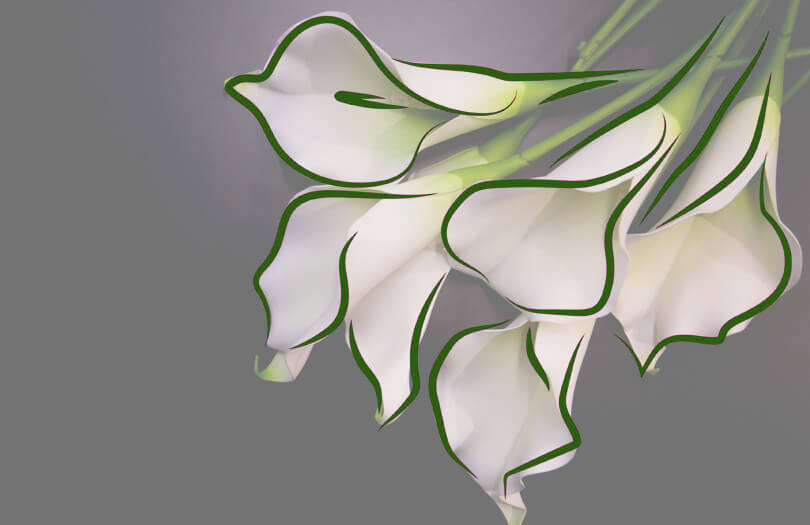 Новинки в ритуальной отрасли Беларуси