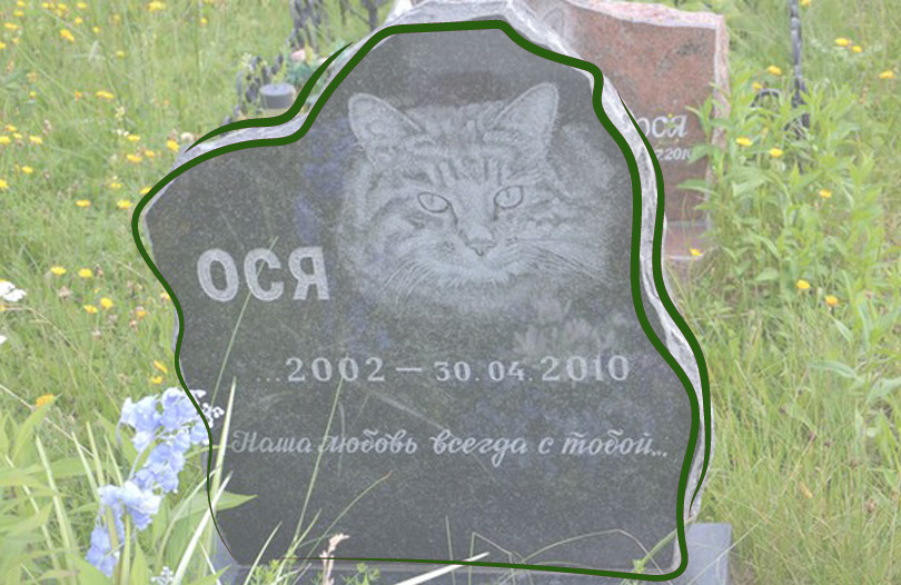 Можно ли хоронить животных?