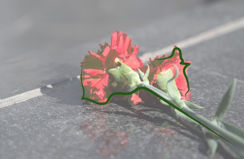 Спустя 78 лет семья Зазыкиных из Смоленска узнала о судьбе своего пропавшего родственника