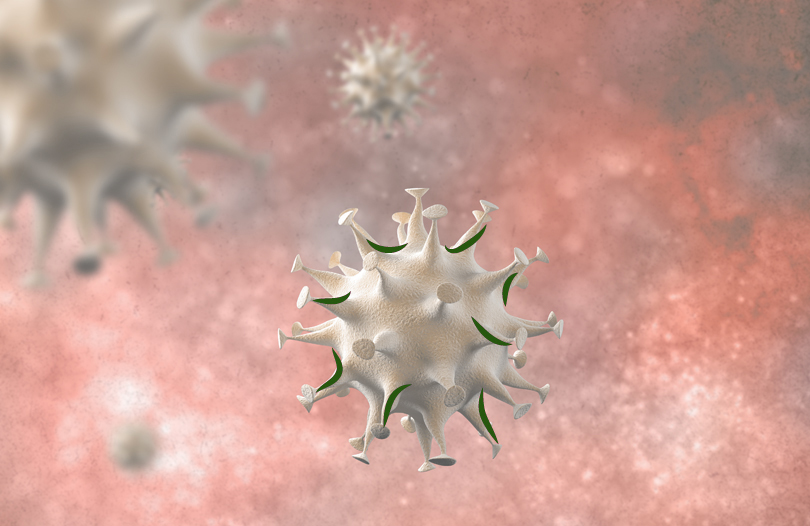 Грипп и коронавирус: сходства и различия