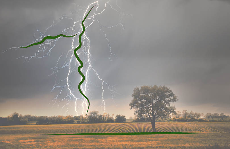 Смерть от удара молнии: статистика