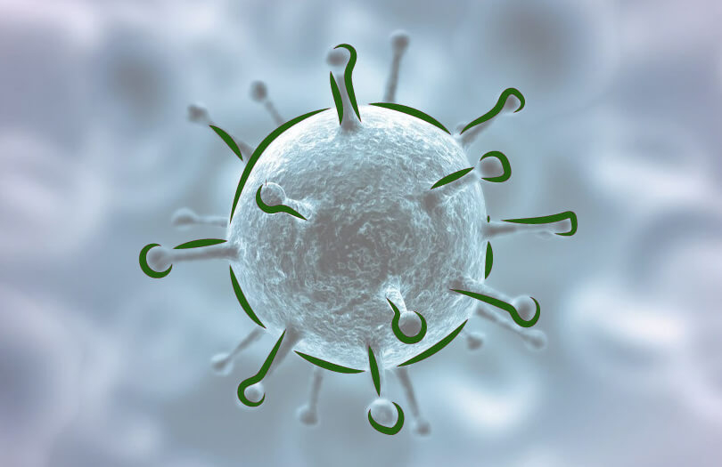 Всемирная организация здравоохранения полностью исключает возможность заражения коронавирусной инфекцией от умерших