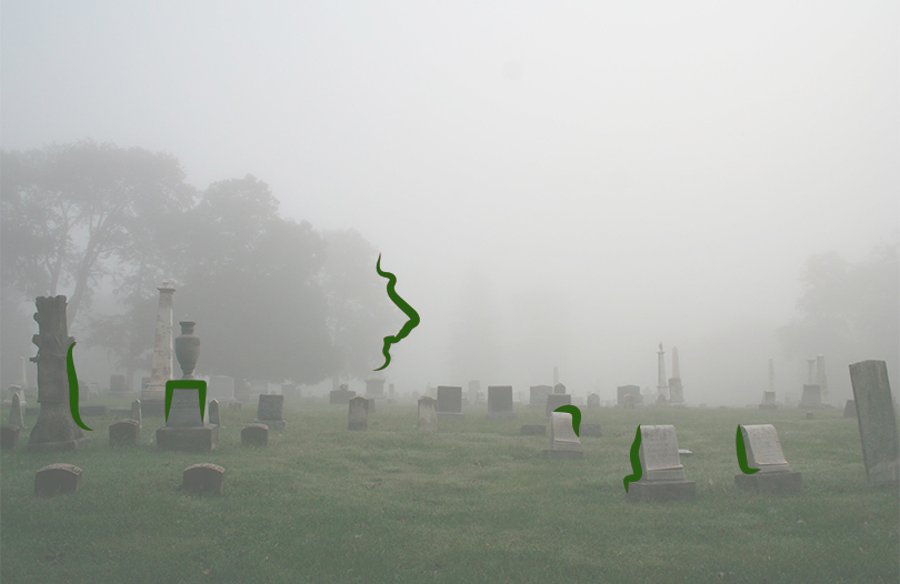 Достоинства и недостатки кладбищ, расположенных на открытой местности