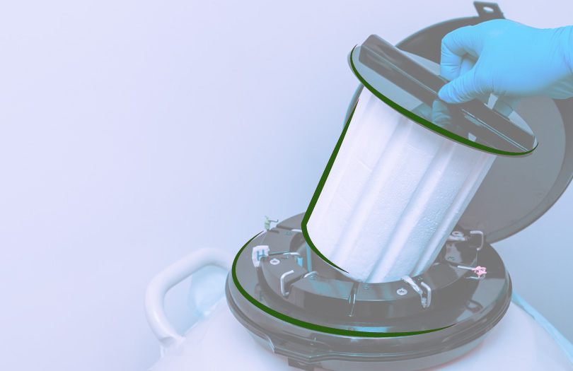 Можно ли обмануть смерть – Крионика