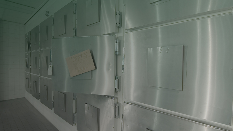 Морги Минска