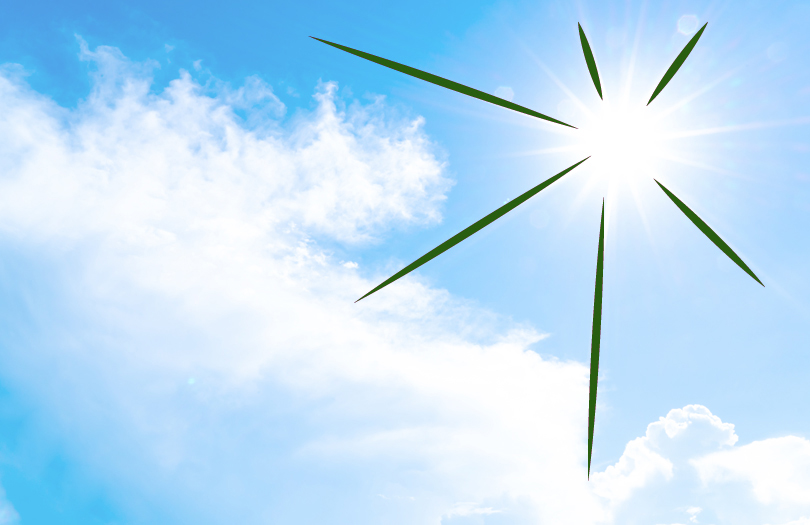 Солнечная линия: как хоронят покойников