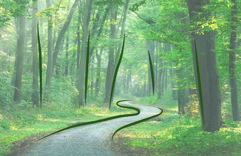 Останки 8 000 человек найдены при раскопках массового захоронения под Минском