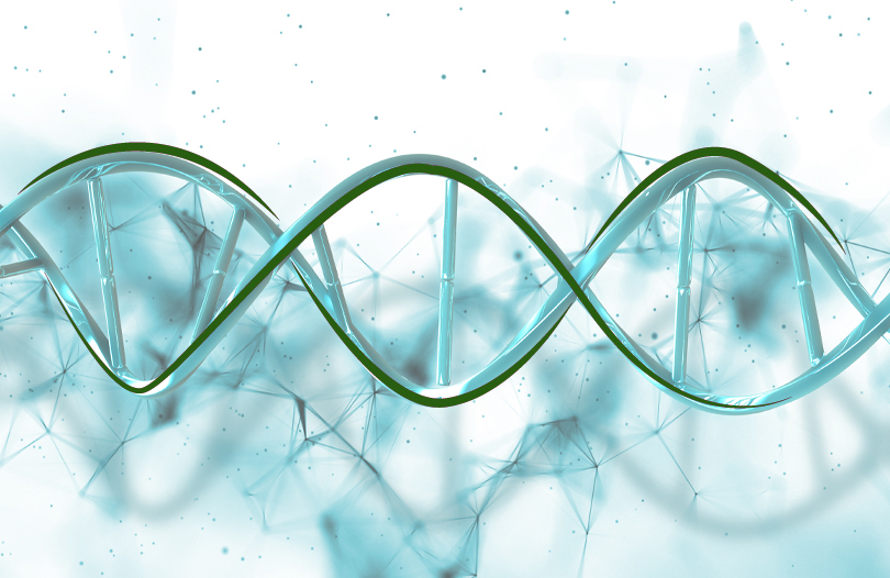 Влияет ли генетика на долголетие
