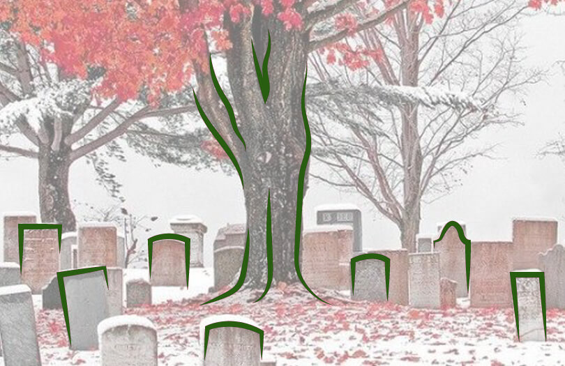 Деревья на кладбище