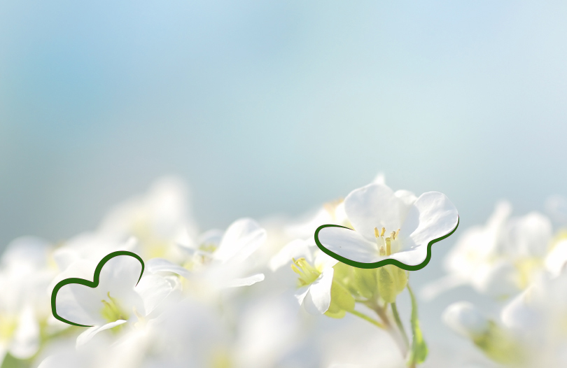 Особенности копки могилы в зависимости от времени года