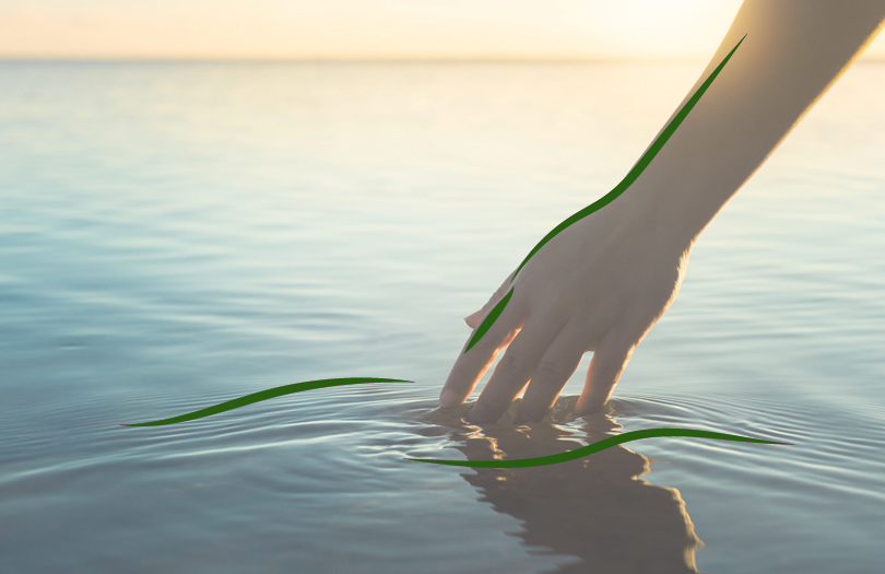 Защитная реакция мозга или почему мы не думаем о смерти