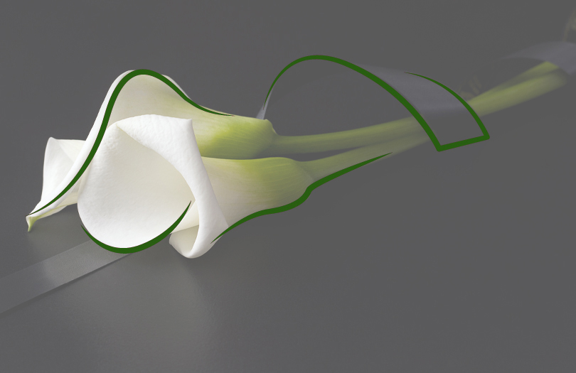 Что означает траур во сне?