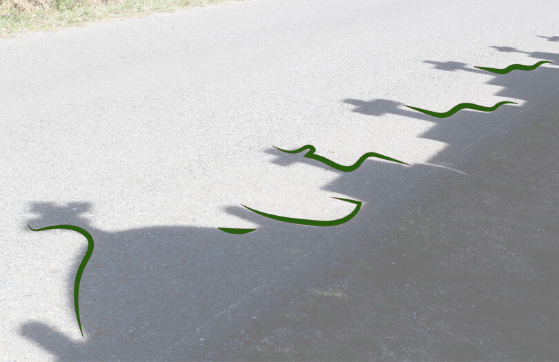 Новый экологический проект: кладбища вдоль автотрасс