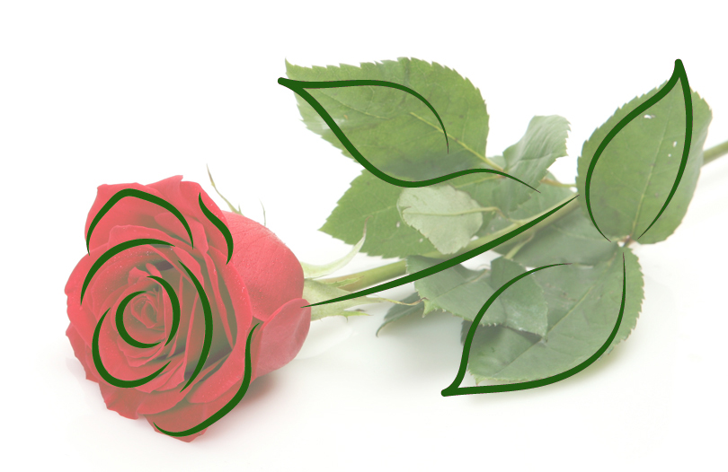 Правительственная делегация Ленобласти возложила алые розы к мемориалам, священным для каждого белоруса