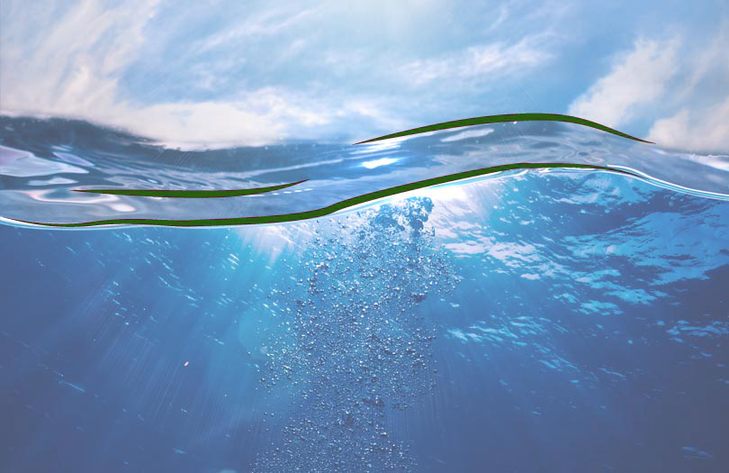 Смерть в плавании Смерть в плавании