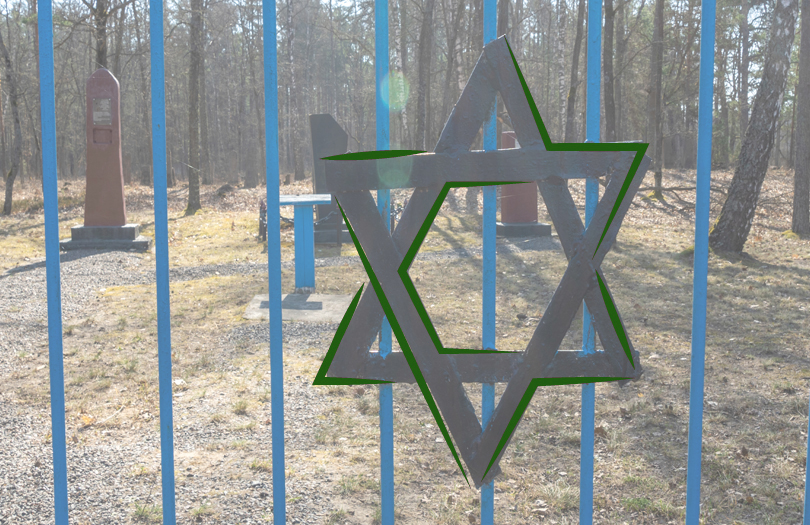 Волонтёры из Москвы, Минска, Бреста и Могилёва завершили каталогизацию еврейского кладбища