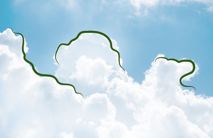 Существования загробного мира: убедительные доводы и новые данные