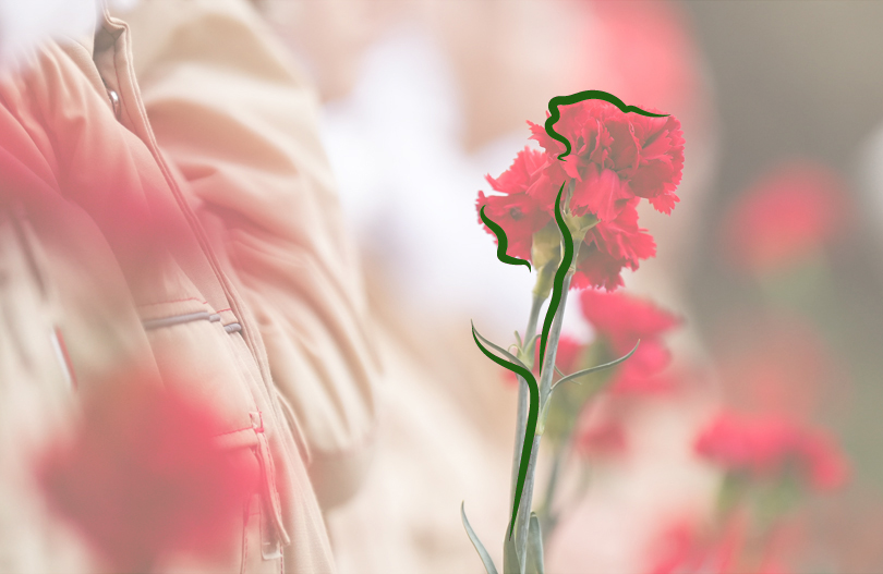 Место захоронения жертв геноцида организованно посещают в Могилёве