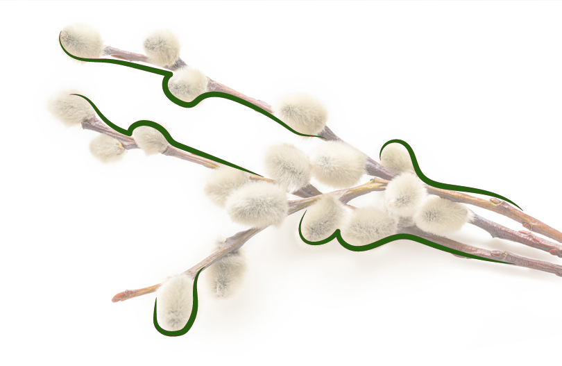 Ходят ли на кладбище в Вербное воскресенье?