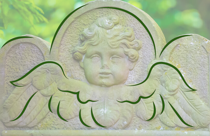 Растения и животные на надгробиях