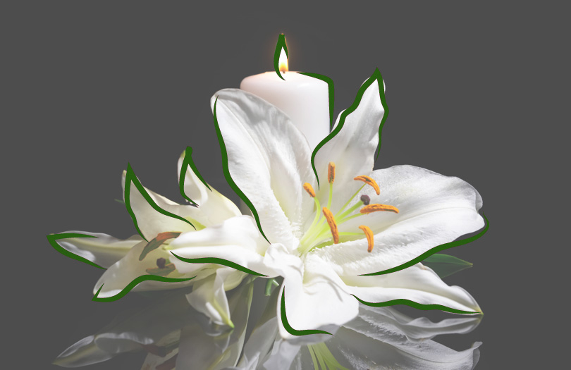 Этика в области похоронного дела