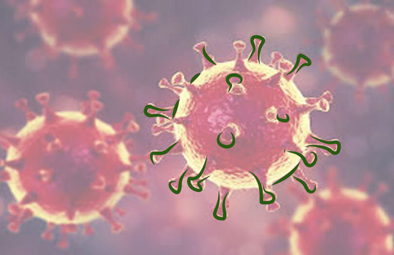 Коронавирус в 2020 году: характеристики и меры защиты