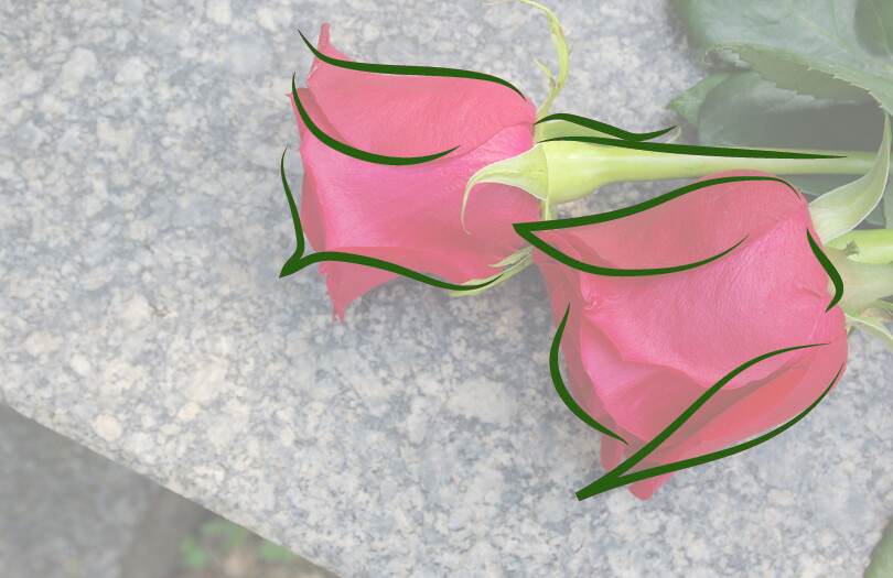 Цветы на похороны: какие выбрать