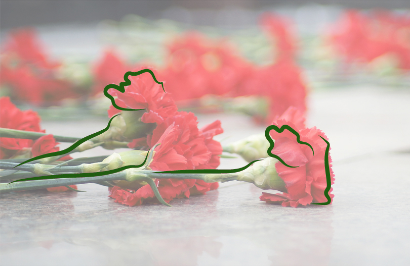 Землю из казахского села доставили на братскую могилу в Беловежской пуще