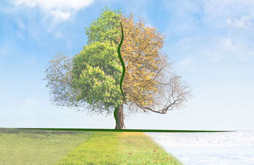 Смертность в Беларуси - зависимость от времени года