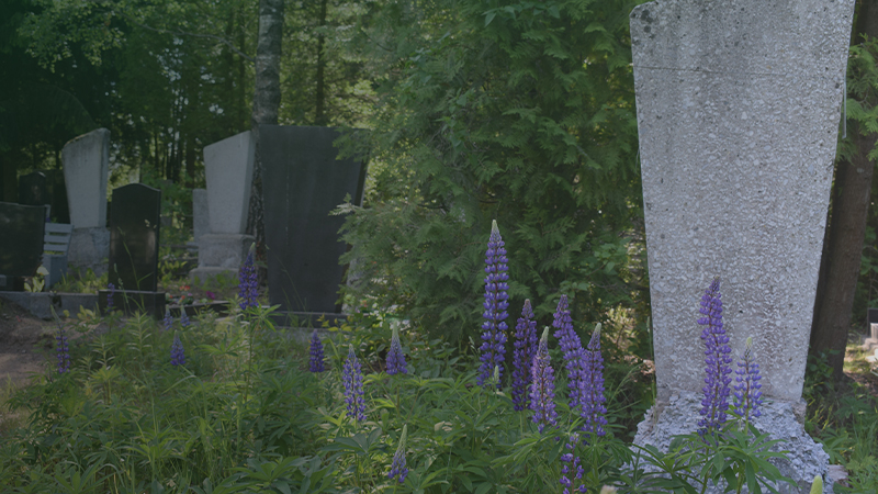 Захоронение на кладбище в Минске