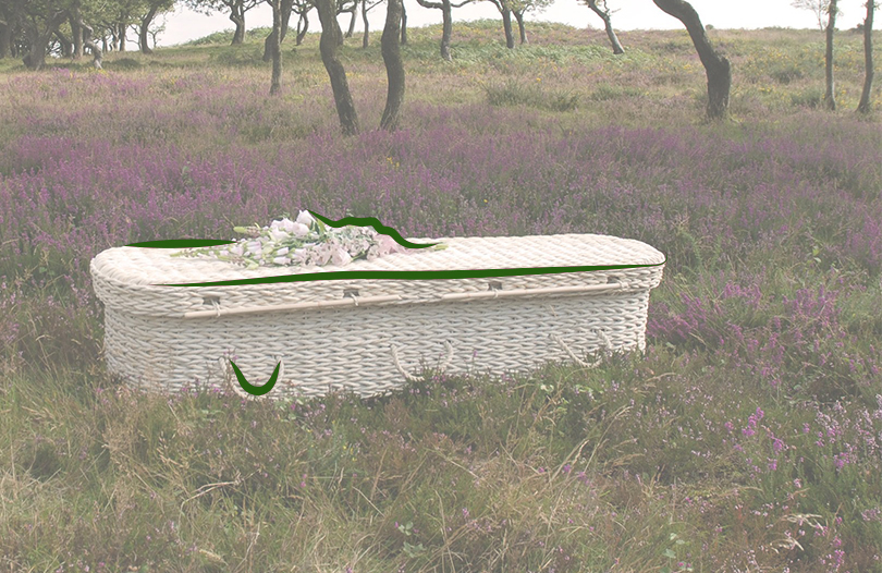 Экологические гробы: новый тренд в ритуальной индустрии