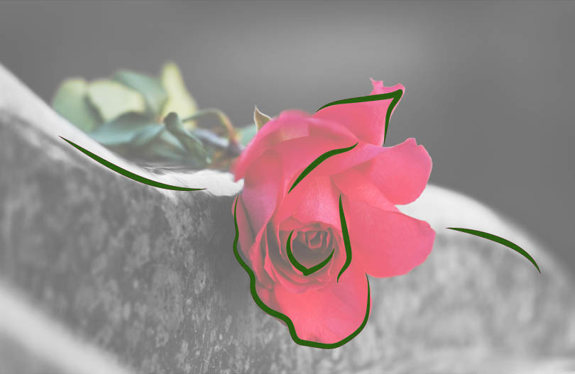 Оказание ритуальных услуг в Беларуси – государственный и общественный контроль