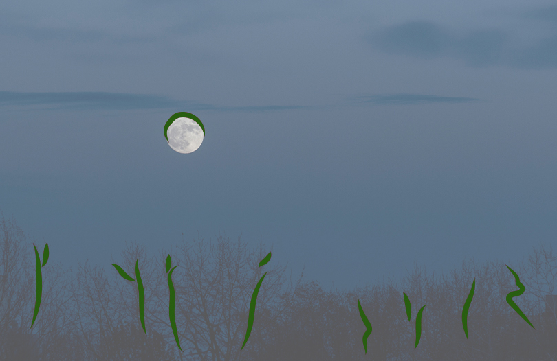 Почему нежелательно посещать кладбища ночью?